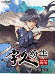 城市漫步者封面